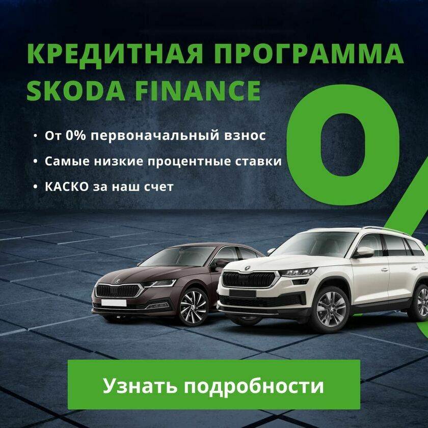 Skoda моно баннер 2