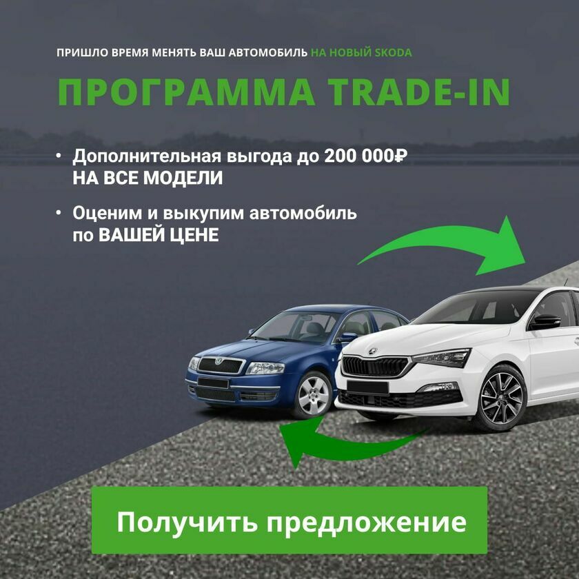 Skoda баннер монобренд 3