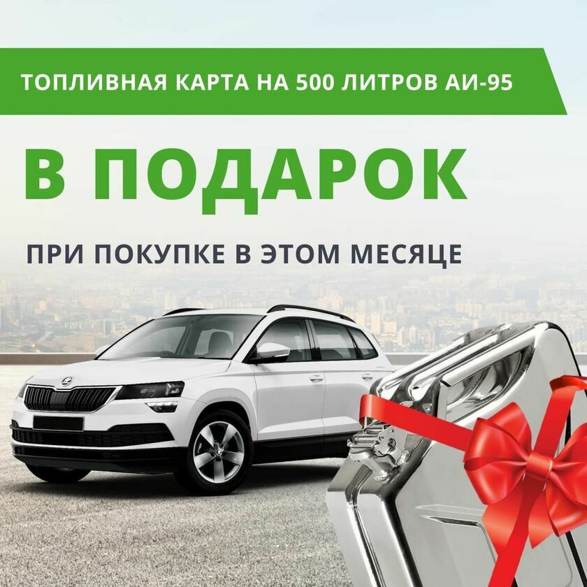 Skoda баннер монобренд